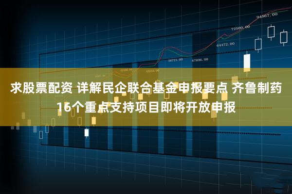 求股票配资 详解民企联合基金申报要点 齐鲁制药16个重点支持项目即将开放申报